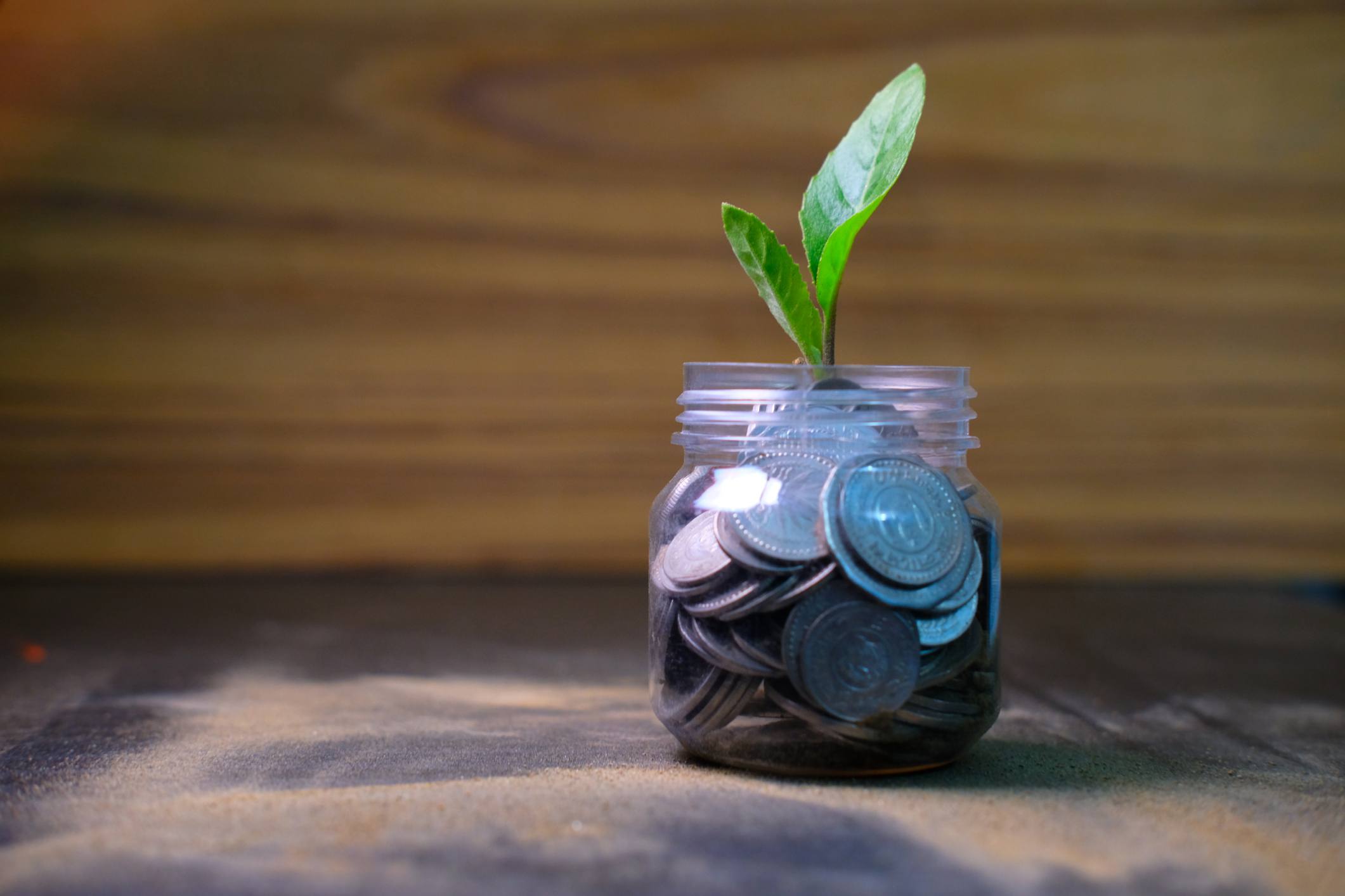 Coins in a bottle and a plant growing with savings money put on the wood.