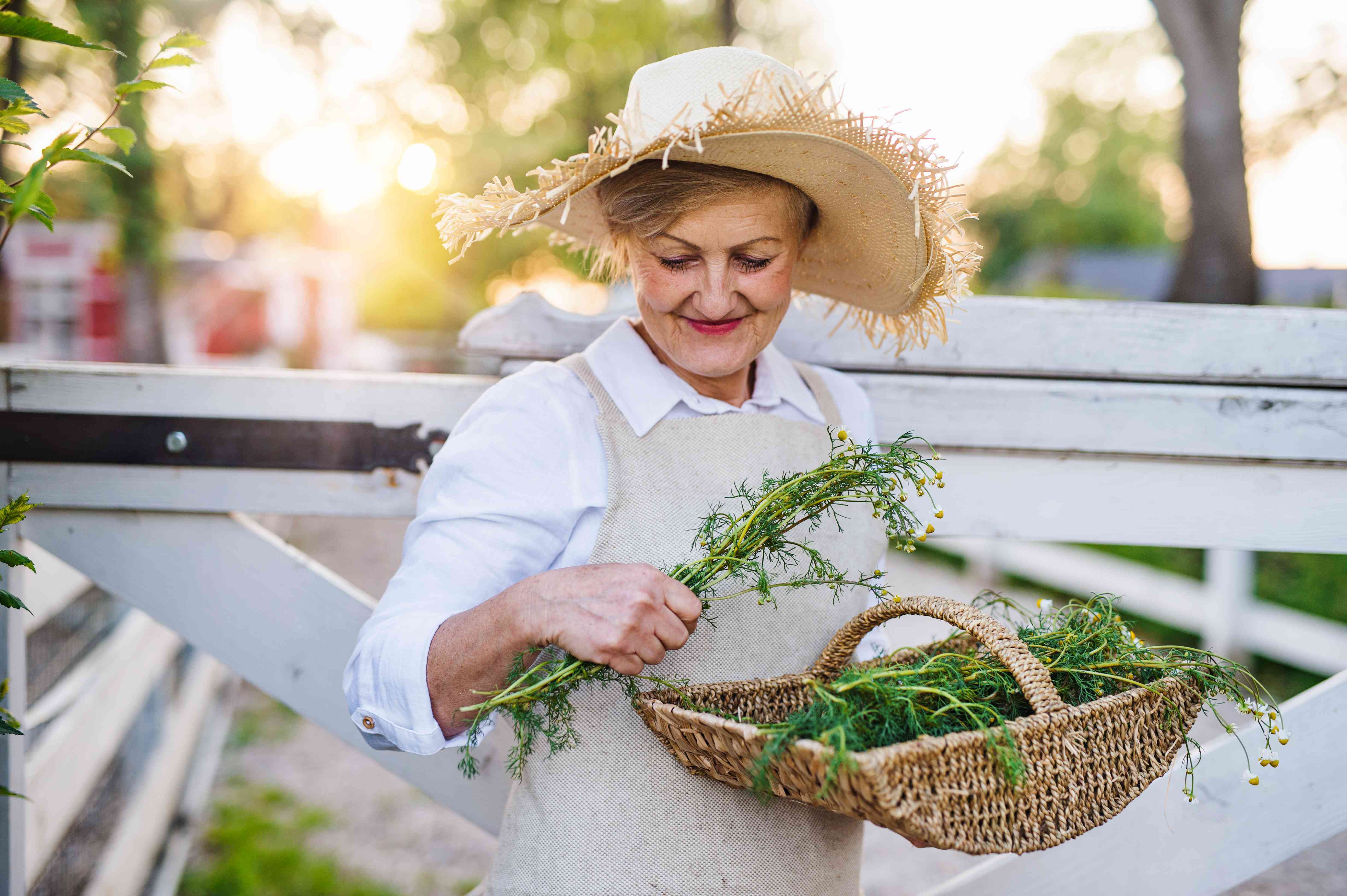 Senior woman walking outdoors on farm, holding basket with herbs.